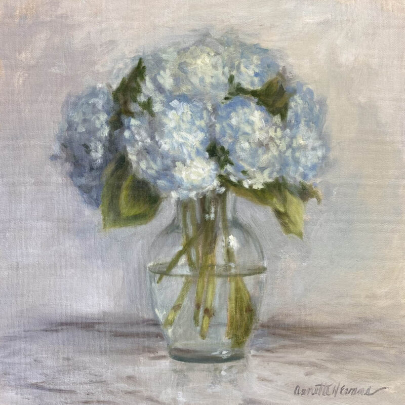 Blue Hydrangeas